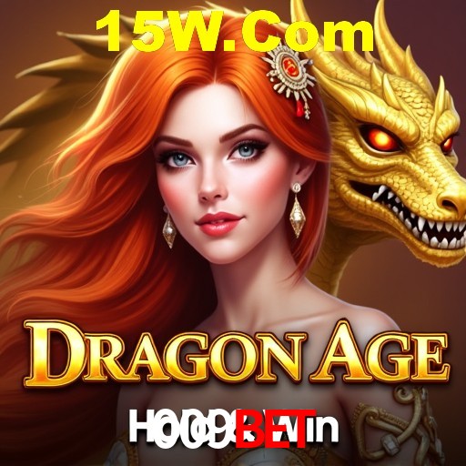 Login Interface